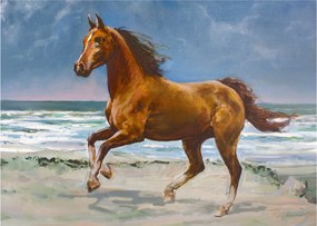 Obraz na szkle konia na plaży (70x50 cm)