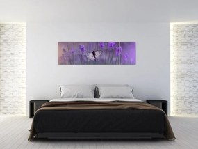 Obraz - Motyl w lawendach (170x50 cm)