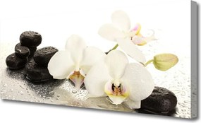 Duży obraz na płótnie Równowaga Natury: Kwiat i Kamień