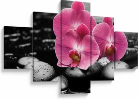 Obraz - Różowe orchidee (125x70 cm)