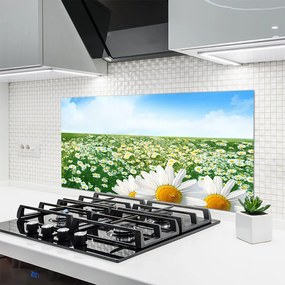 Szkło do Kuchni na Ścianę Dywan Białych Stokrotek