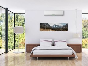 Obraz - Chodnik w dolinie góry Mt. Cook (170x50 cm)