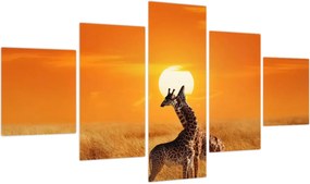 Obraz - Żyrafy w Parku Narodowym Serengeti (125x70 cm)