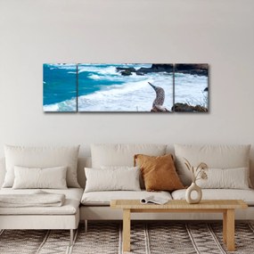 Obraz - głuptak niebieskonogi (170x50 cm)