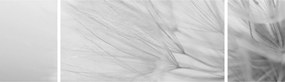 Obraz - Mniszek lekarski (170x50 cm)