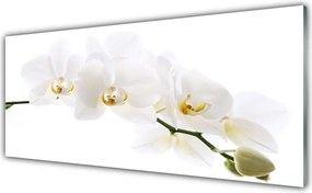 Szkło Ozdobne do Kuchni Egzotyczna Elegancja Orchidei