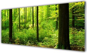 Szkło do Kuchni na Ścianę Gęsty Bór Liściasty