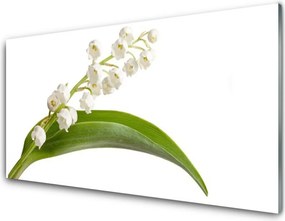 Panel Kuchenny Letnia Kompozycja Kwiatowa