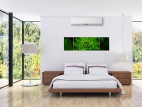 Obraz drzewa iglastego (170x50 cm)
