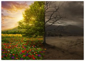 Obraz na szkle - Cykl życia (70x50 cm)