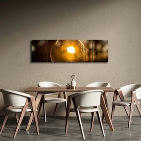Obraz - Przezroczysta bańka (170x50 cm)