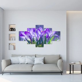 Obraz kwiatów w deszczu (125x70 cm)