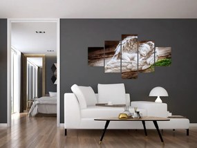 Obraz - Śpiący anioł (125x70 cm)