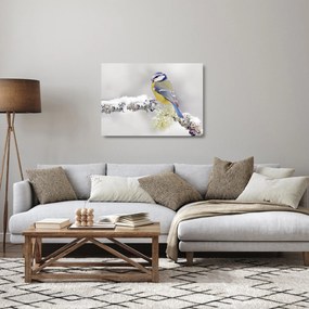 Obraz na szkle - Sikora modraszka w lesie (70x50 cm)