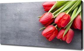 Foto obraz na płótnie Czerwone tulipany