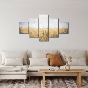 Obraz ziarna (125x70 cm)