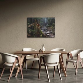 Obraz - W lesie (70x50 cm)
