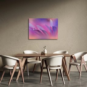 Obraz - Kropla na kwiecie (70x50 cm)