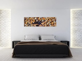 Obraz rozgwiazdy (170x50 cm)