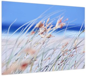 Obraz - Bryza (70x50 cm)