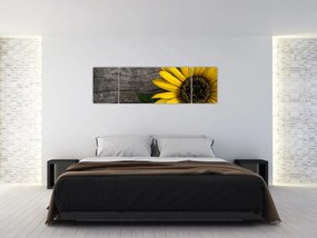 Obraz - Kwiat słonecznika (170x50 cm)
