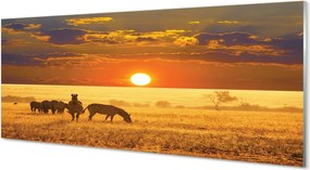 Panel szklany do Kuchni Zebry o Zachodzie Słońca