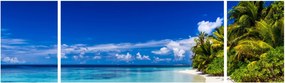 Obraz tropikalnej plaży (170x50 cm)