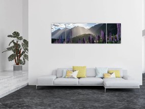 Obraz - Sceneria łubinów (170x50 cm)