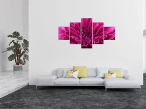 Obraz kwiatu (125x70 cm)