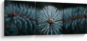 Obraz gałązki drzewa iglastego (z zegarem) (90x30 cm)