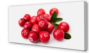 Fotoobraz na płótnie Dojrzałe Zielone Awokado