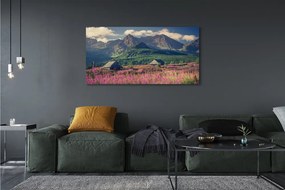 Obraz drukowany na płótnie Góry, Pola i Domki