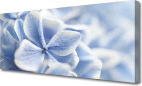 Obraz canvas Delikatność Płatków Kwiatowych
