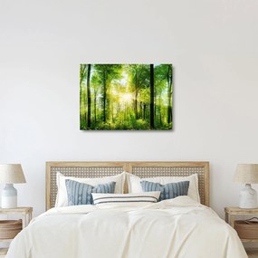 Obraz na szkle - Świt w lesie (70x50 cm)