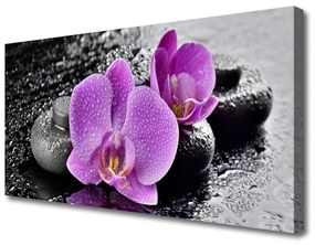 Obraz Canvas Storczyk Kwiaty Orchidea Spa