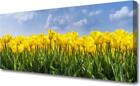 Duży obraz na płótnie Tęczowe Pole Tulipanów