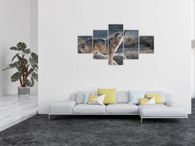 Obraz - Wyjący Wilk (125x70 cm)