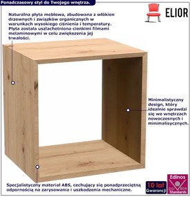 Designerski wkład do półki dąb artisan - Begonis 6x