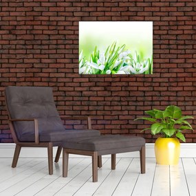 Obraz - Przebiśniegi (70x50 cm)