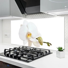 Panel Szklany do Kuchni Subtelny Akcent Botaniczny