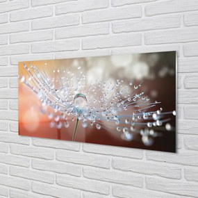 Panel nad Blat Kuchenny Dmuchawiec w Kroplach Rosy