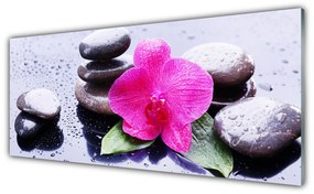 Panel Szklany Kwiat Orchidea Sztuka
