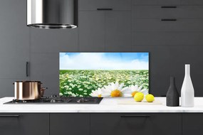 Szkło do Kuchni na Ścianę Dywan Białych Stokrotek