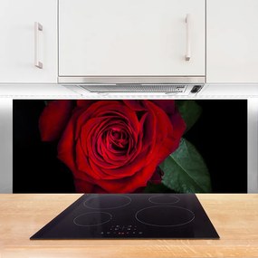 Panel Szklany do Kuchni Elegancka Róża W Zbliżeniu