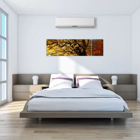Obraz jesiennego drzewa (170x50 cm)