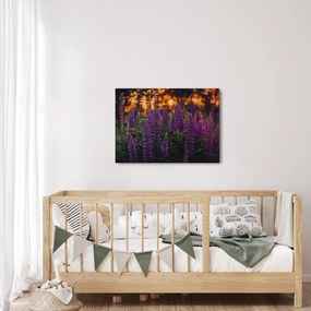 Obraz kwiatów łubinu (70x50 cm)