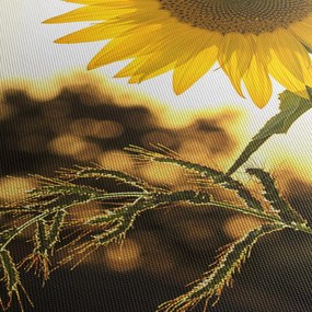 Obraz słonecznika (170x50 cm)