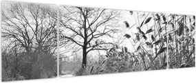 Obraz - Pola w zimie (170x50 cm)