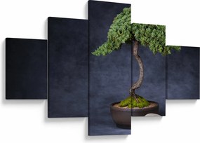 Obraz - Bonsai (125x70 cm)