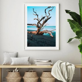 Plakat - Shallow (A4)